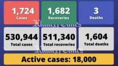 <b>阿联酋报告1,724例Covid-19病例，康复1,682例，死亡3例</b>