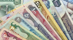 专家：海湾国家沙特、阿联酋、卡塔尔、阿曼、科威特和巴林今年通胀将飙升